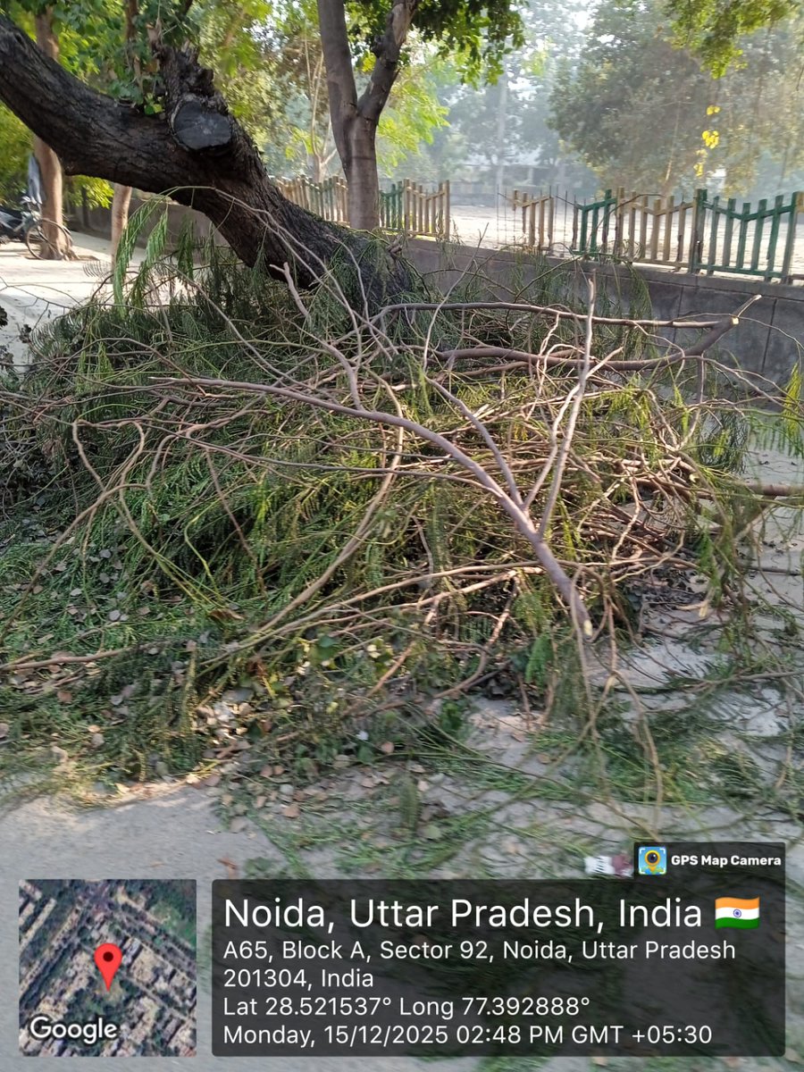 NoidaRwa92's tweet photo. @CeoNoida @noida_authority @mukteshchander @chhotethakur @rkhattar सेक्टर 92 में पेड़ों की टहनियां पिछले 25दिनों से यूं ही पड़ी हुई है। संबंधित विभाग को बार-बार कंप्लेंट करने के बाद भी नहीं उठाई जा रही हैं। कृपया इन्हें शीघ्र अति शीघ्र हटाया जाए। https://t.co/WjoXrL8t8J