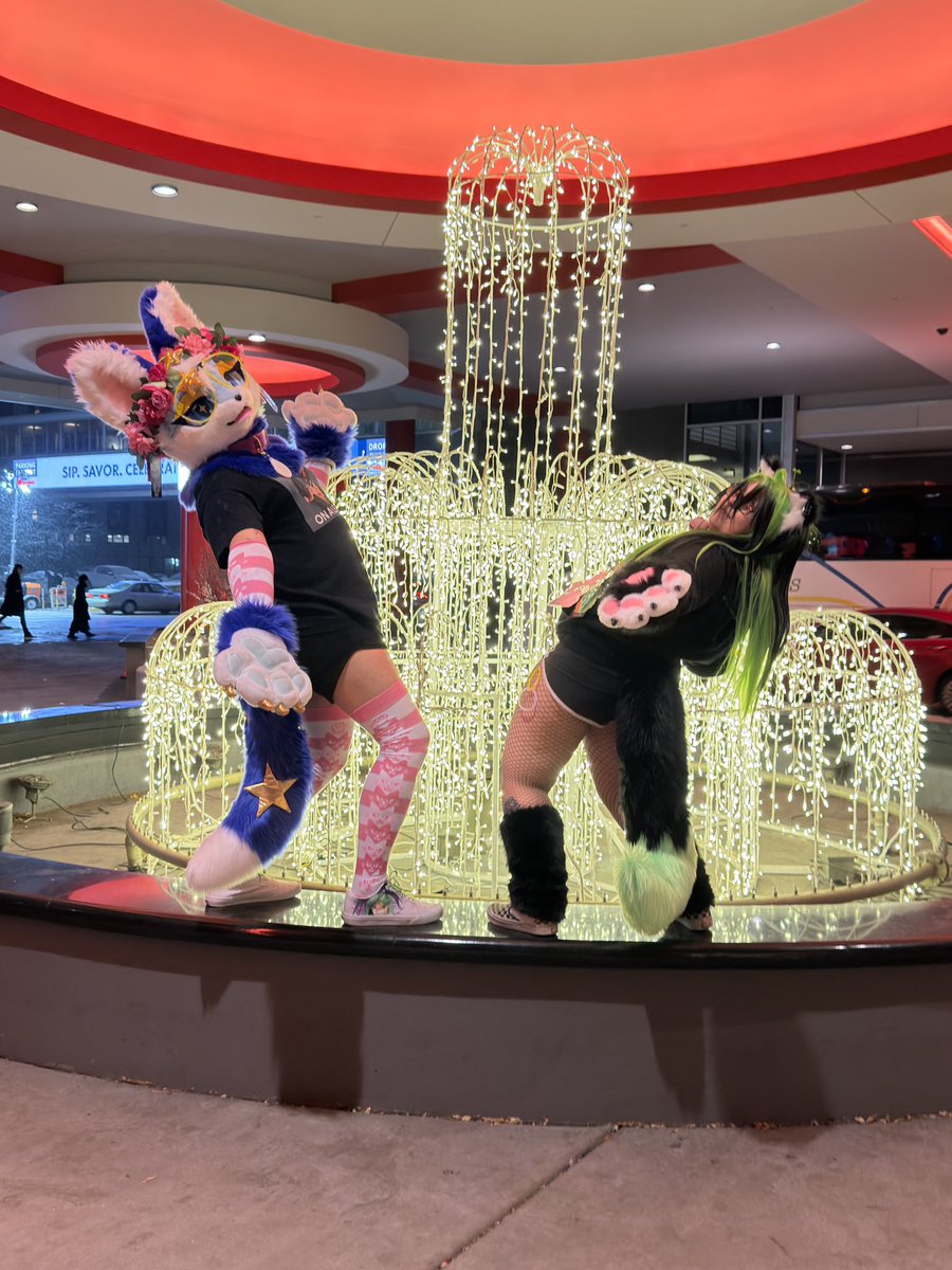 Femboy Nimbus night 2 at MFF!
#furry #furryfandom #furrycommunity #femboy