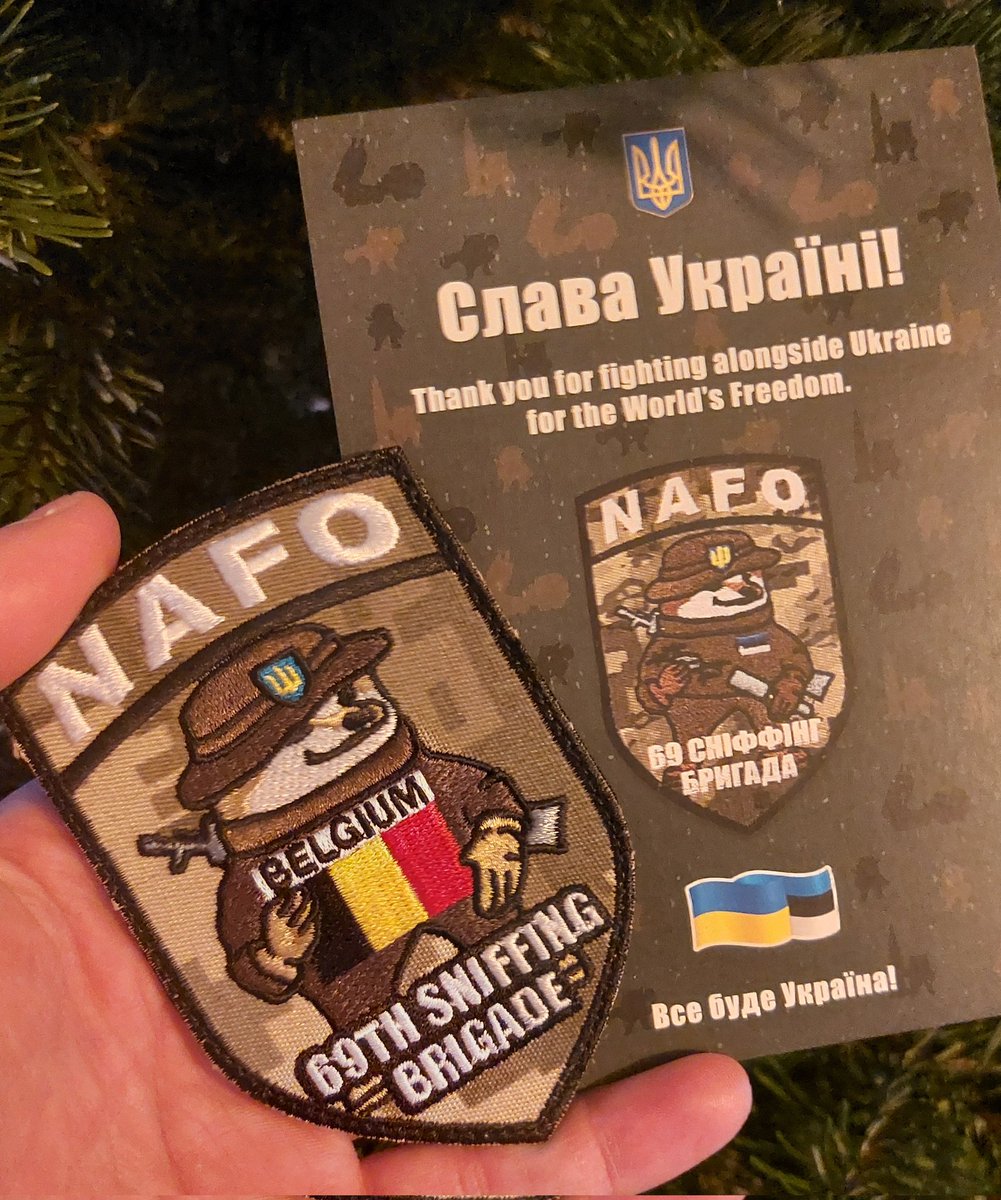 A lot of hate directed towards Belgium in the past few days. And rightfully so. 
Please note that decision was made by a corrupted wannabe intellectual PM. 
He does NOT in any way shape or form represent us real Ukraine supporters!

🇧🇪🫂🇺🇦

#Belgium #SlavaUkraïni #NAFO