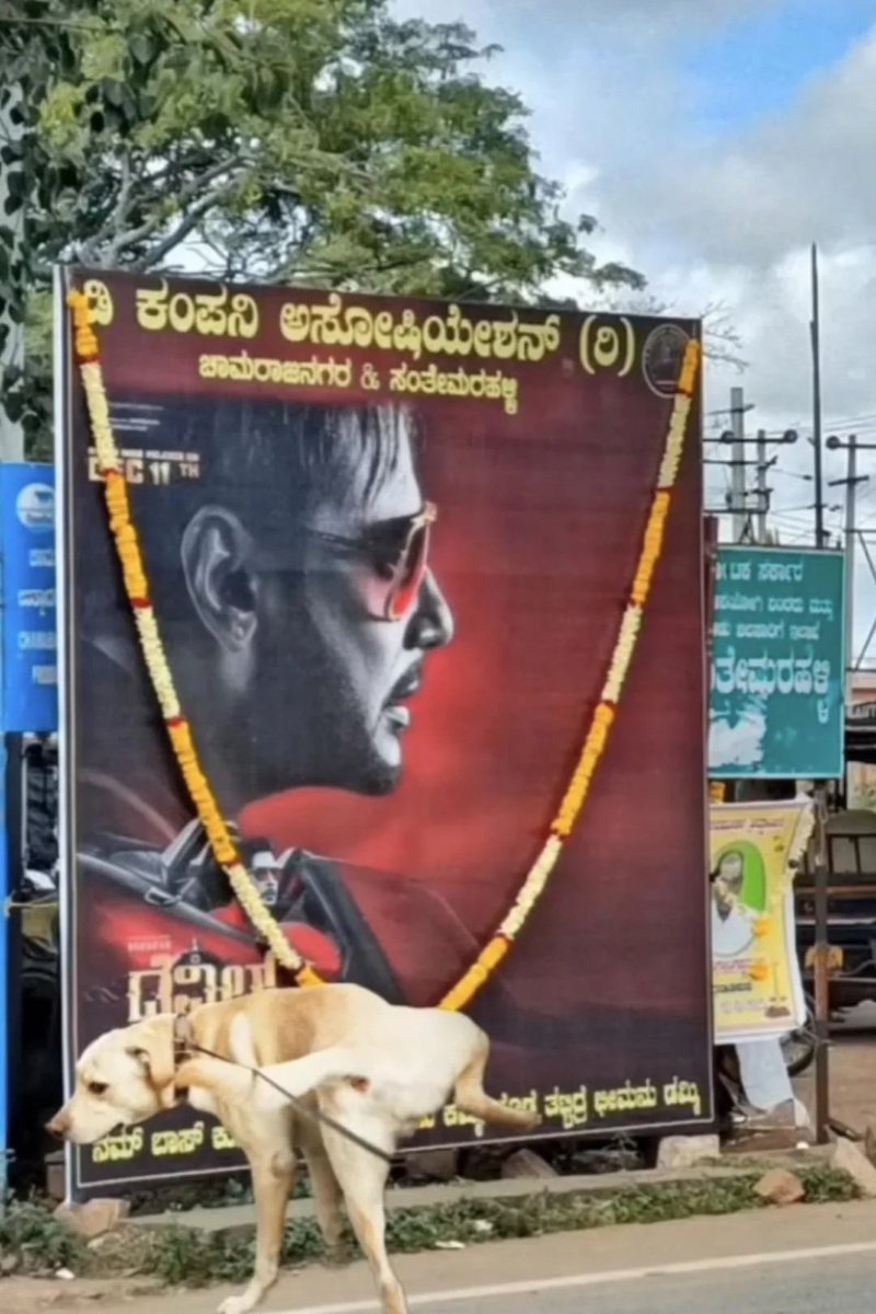 DevilM675573's tweet photo. #thedevilfilm lifetime collection will be 26cr🔥🔥🔥
Highest for our @dasadarshan 🔥
Easly Highest grossing film of the year ( non kantara, non su from so and non ekka)
#DisasterDevil #MarkTheFilm #45movie #Upendra #shivrajkumar https://t.co/e34ywgPUeW
