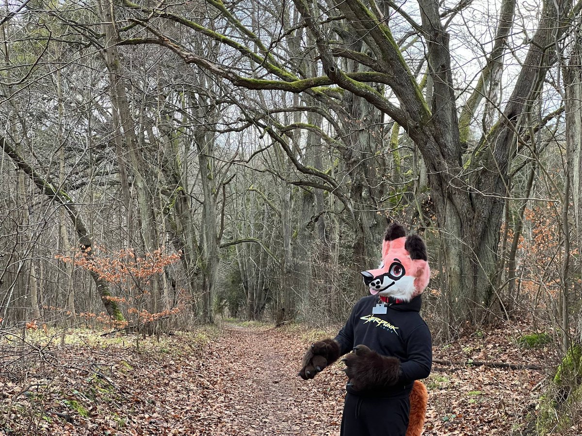 #furry #FursuitFriday #fursuit