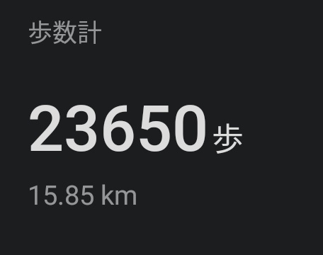 今日だけで2万歩。うん、まあ普通。 でもその割には膝がやられてるw