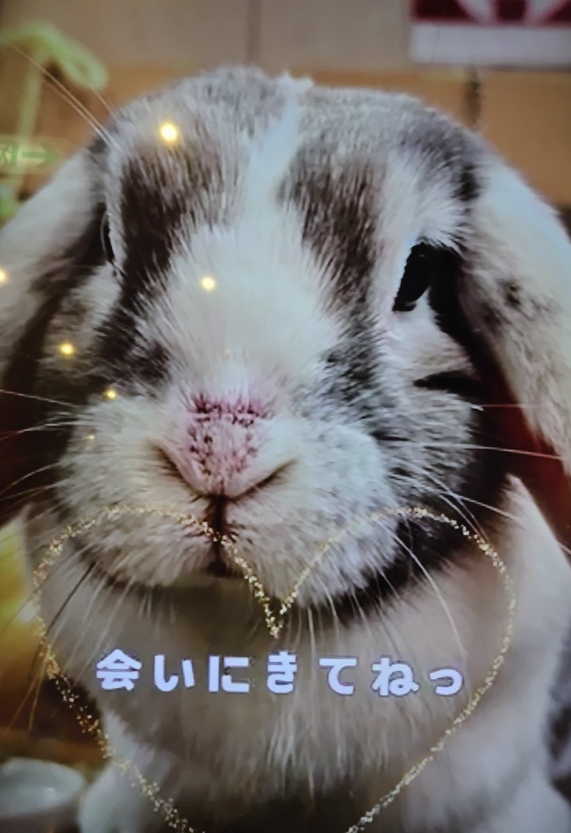 ぽんた (@777_ponta) / Posts / X