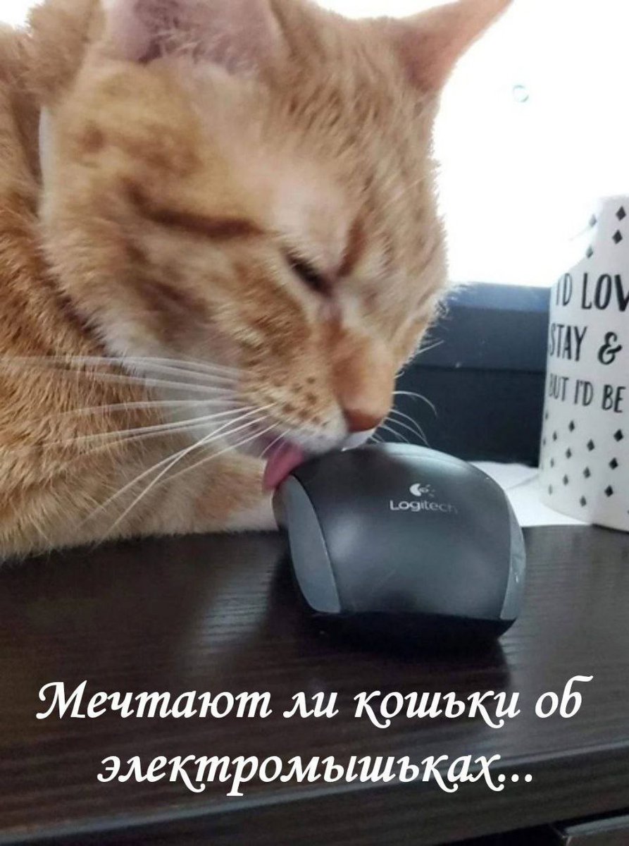 ksuunja's tweet photo. https://t.co/BQ397ZeF7F
