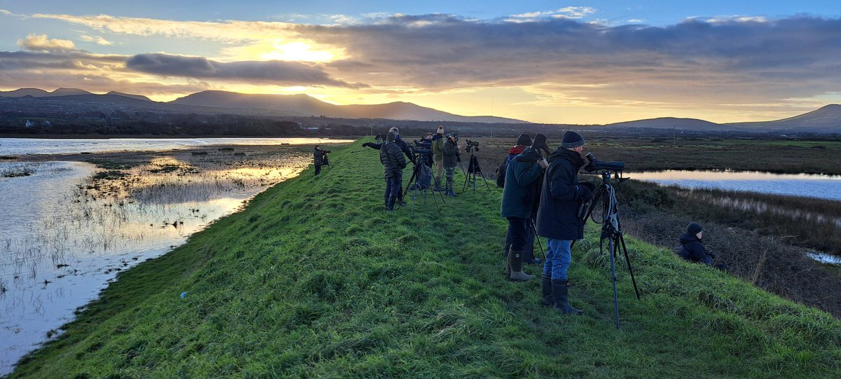 John Barber tweet media