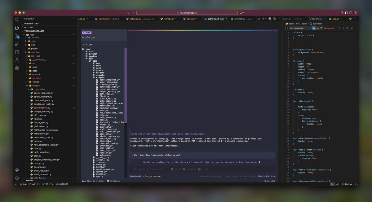 Toad running inside VS Code