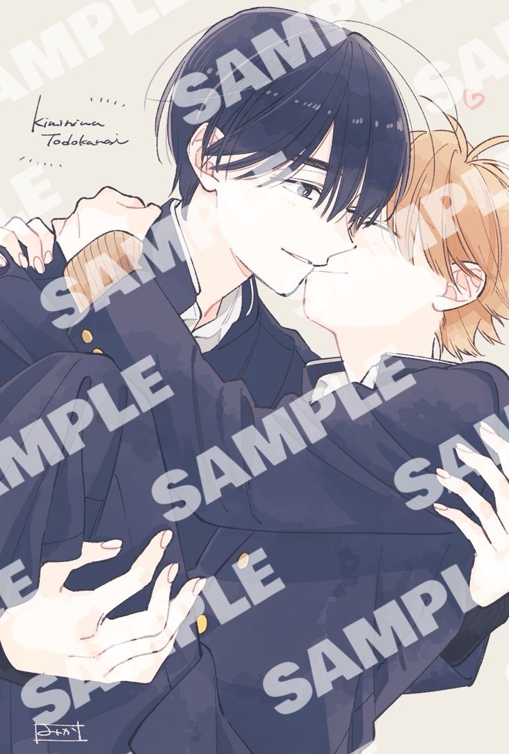 発売まであと6️⃣日❕／ ✦┈┈┈┈┈┈┈┈┈┈┈┈┈✦ 君には届か