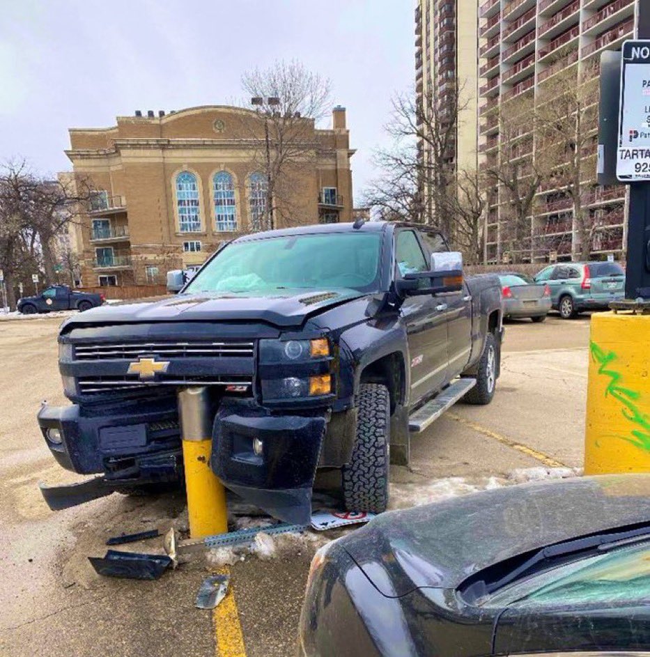 WorldBollard's tweet image. An American beast.  Tamed.
#WorldBollardAssociation