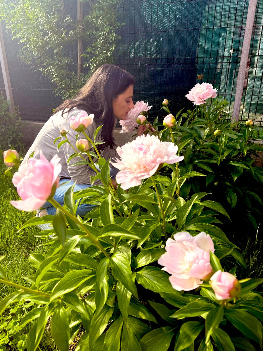 Flower Show tweet media