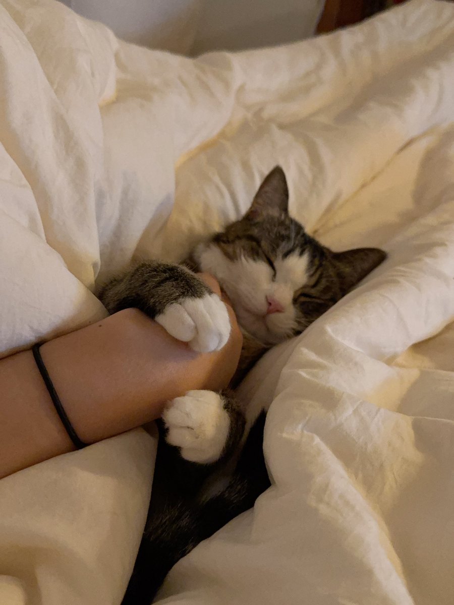 손 안고 자는 중