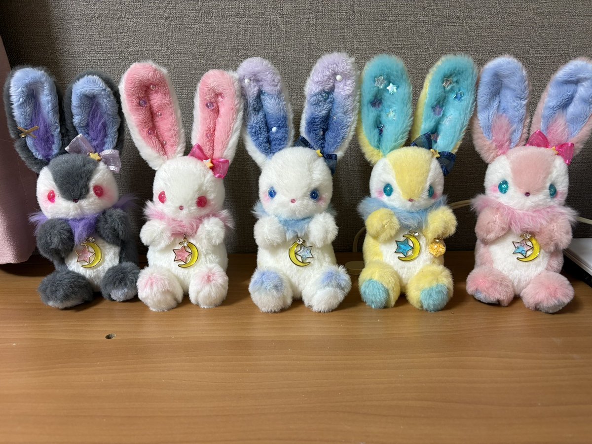 我が家のユメミルbunnyズです🩷 実は、先週引っ越しをしましてbunnyズ