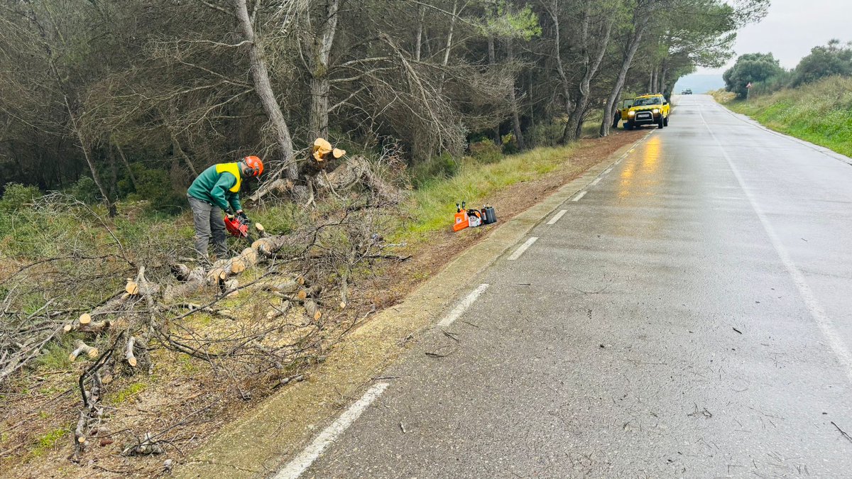 ADF Rossend Montané tweet media
