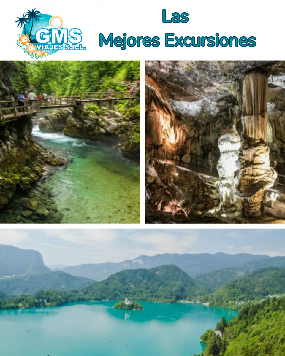 GmsViajes's tweet image. ¿Buscas la mejor aventura? 🌍 Gms Viajes tiene las excursiones que necesitas. Descubre destinos inolvidables con nosotros. #ViajaConNosotros #gmsviajes #excursiones