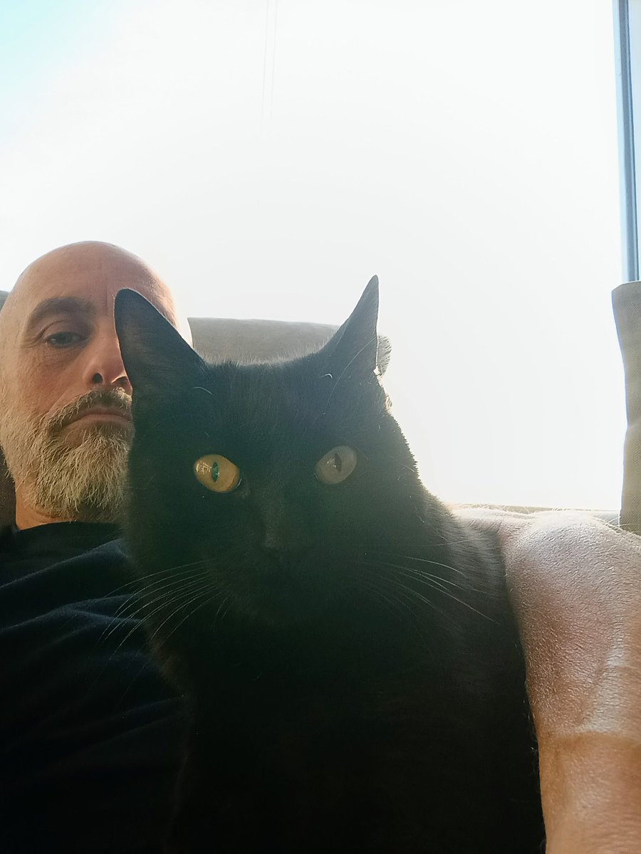 io non sono qui tweet media