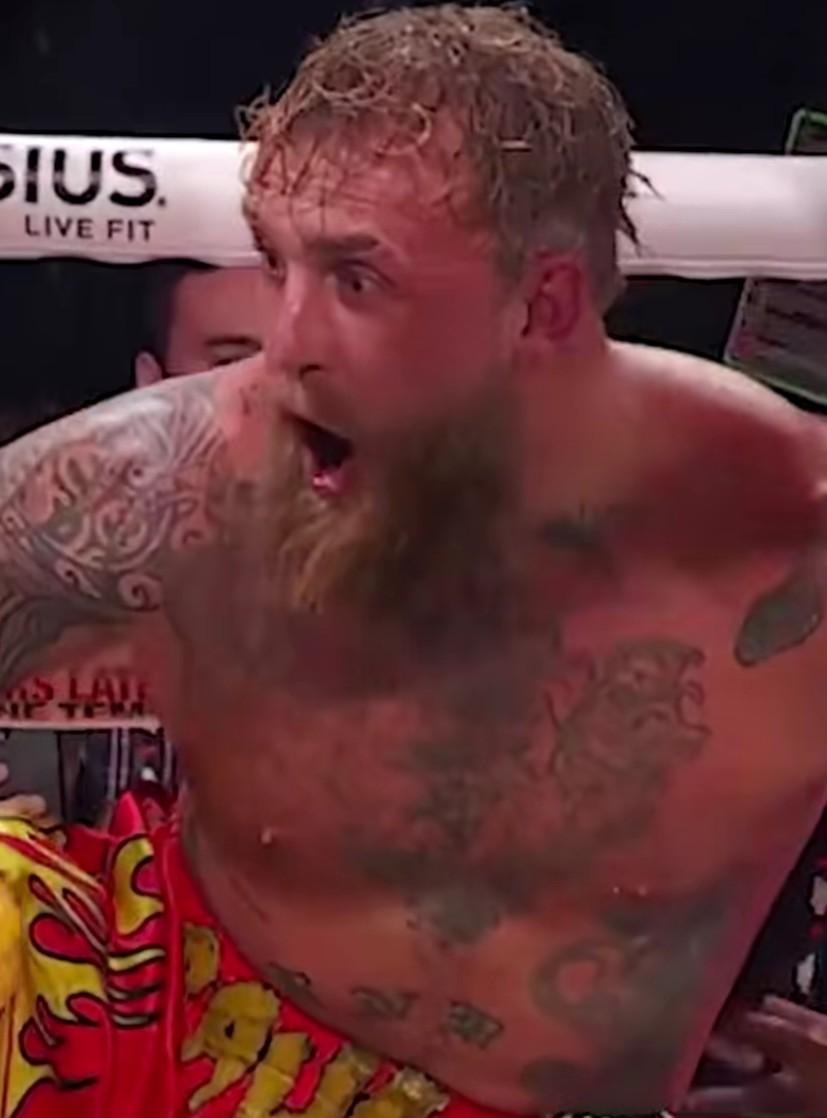 phillip pargeter tweet media