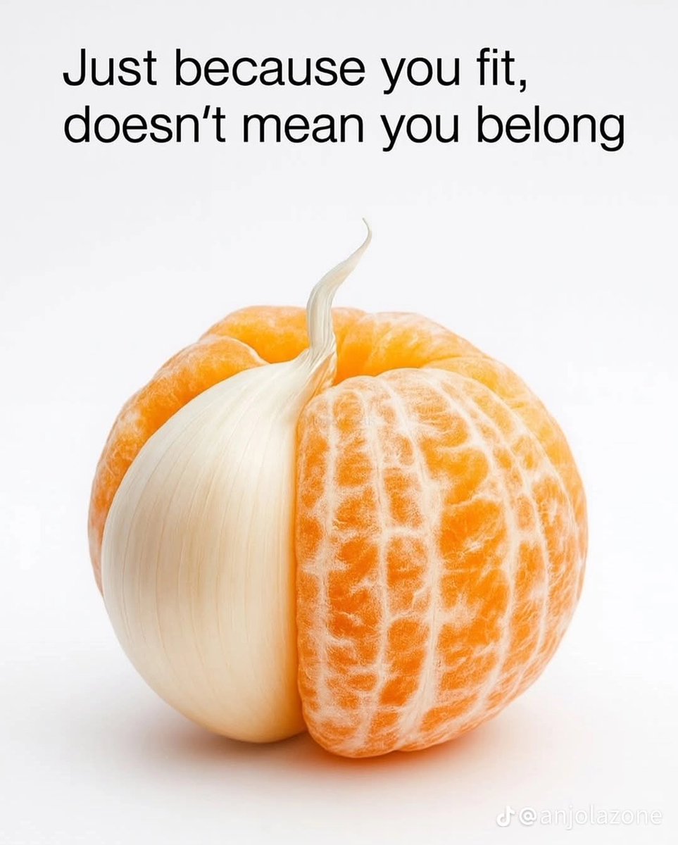 impeculiar1b's tweet image. 💯💯