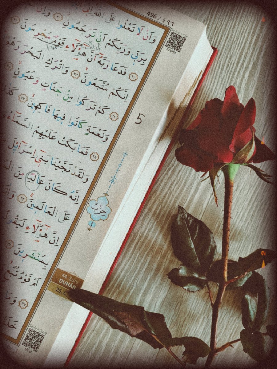 | Ruh kendisine huzur vereni sever.