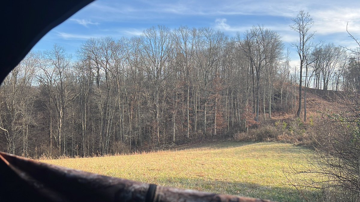 DavidYeater's tweet photo. #almostheaven #muzzleloader 🦌 https://t.co/aeAdo79kcQ