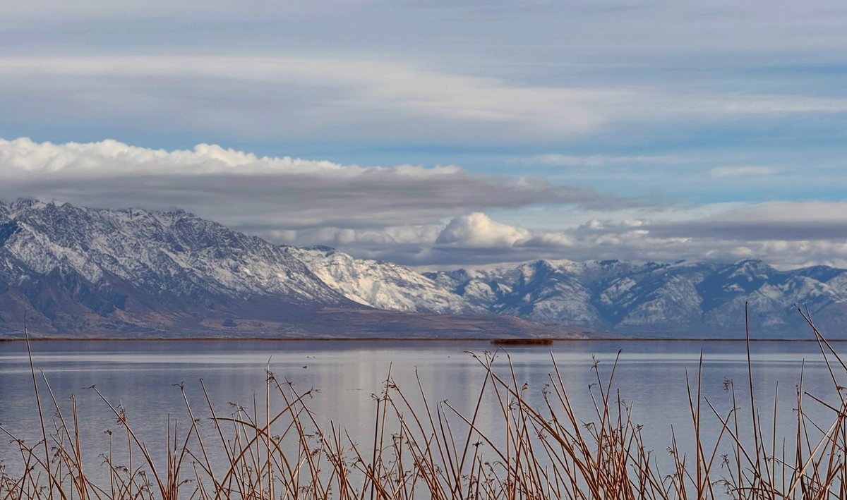 Community Photography Challenge: 

👇Share a favorite image with Breathtaking Shades of Blue.

🔥We will choose a winner and invite that person to host a challenge/share like this, to be pinned in the community, next week!