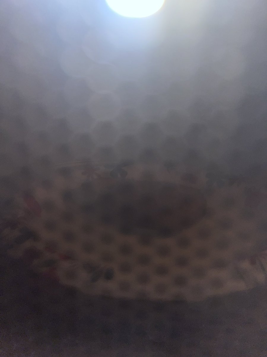 cigarette5000's tweet image. Boy lunch 😋