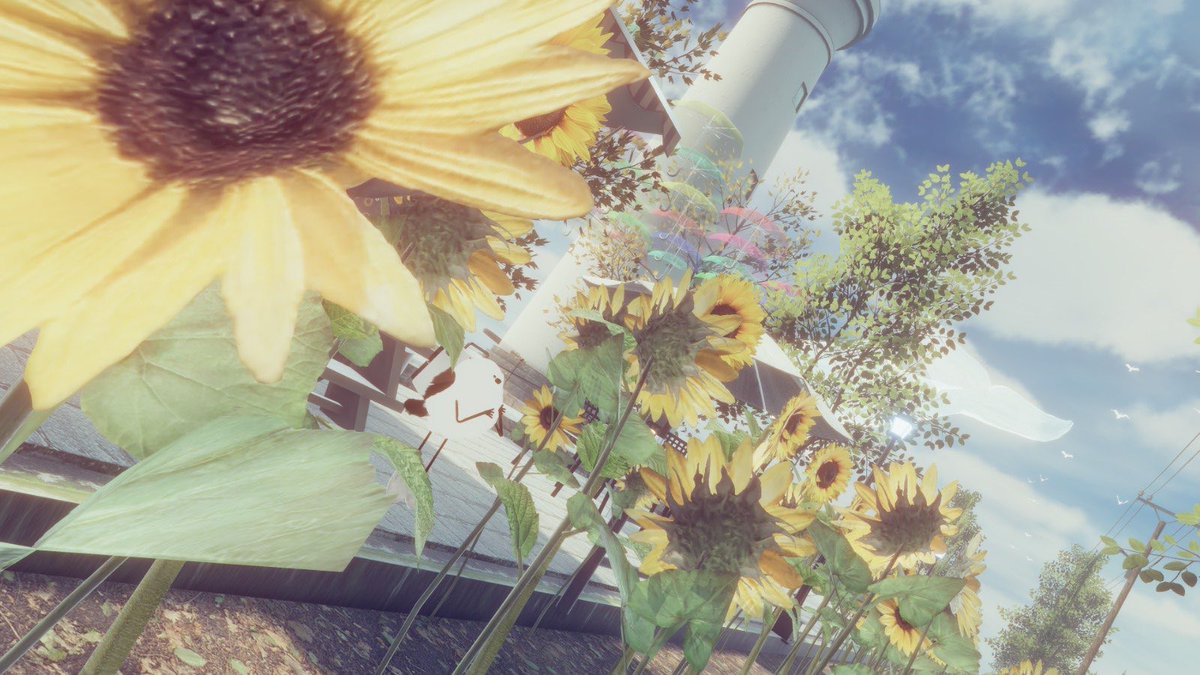 VRC_monjiro's tweet photo. もんじろう写真集1冊100円!笑
#Bird3D https://t.co/oi3NQomtiv