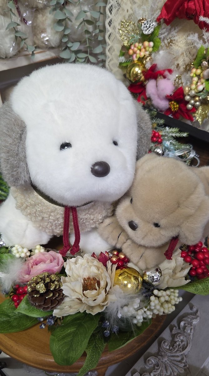 うめ吉 かわいいうめ吉に癒されてね❤