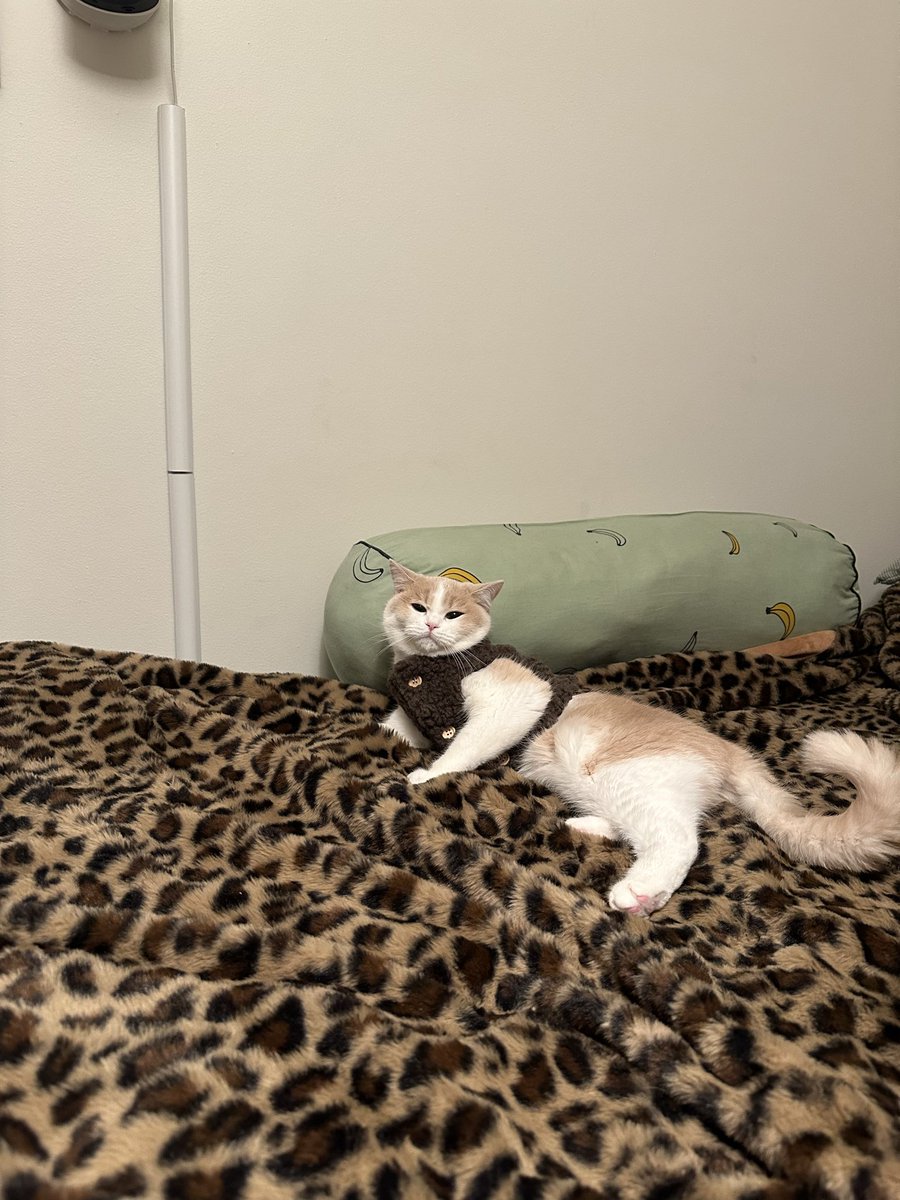 brntclemnt's tweet photo. we lost our little teeny baby yesterday. everything sucks and this year is awful. https://t.co/L6YuL8I8tg