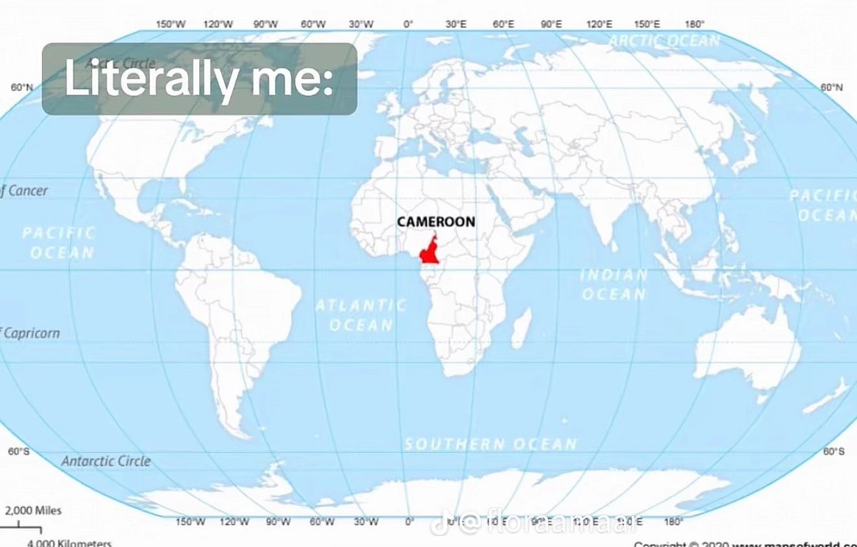 Them : Les camerounais là, arrêtez d'agir comme si vous étiez le centre du monde !!!

Me : 😌👇🏾