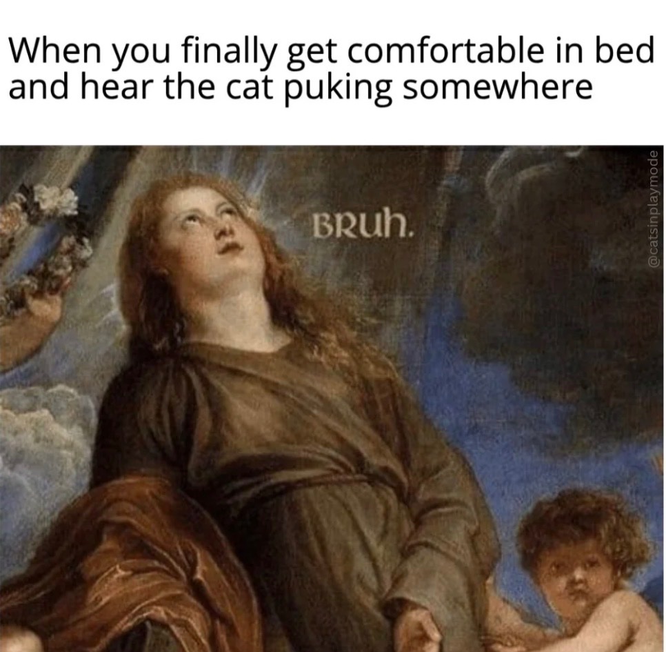 cats with powerful aura tweet media