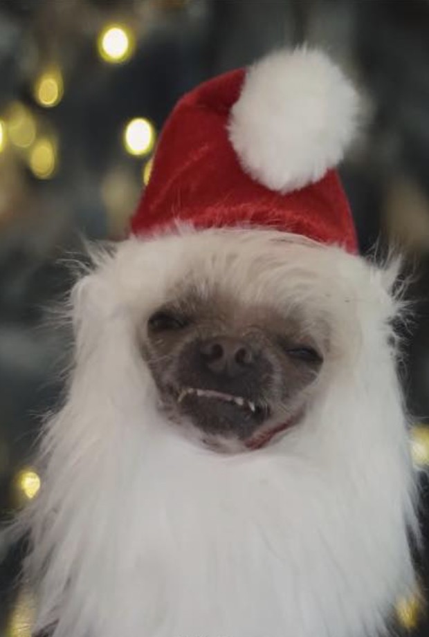 Yeti_Palms's tweet image. HO HO HO, Motherfuckers.