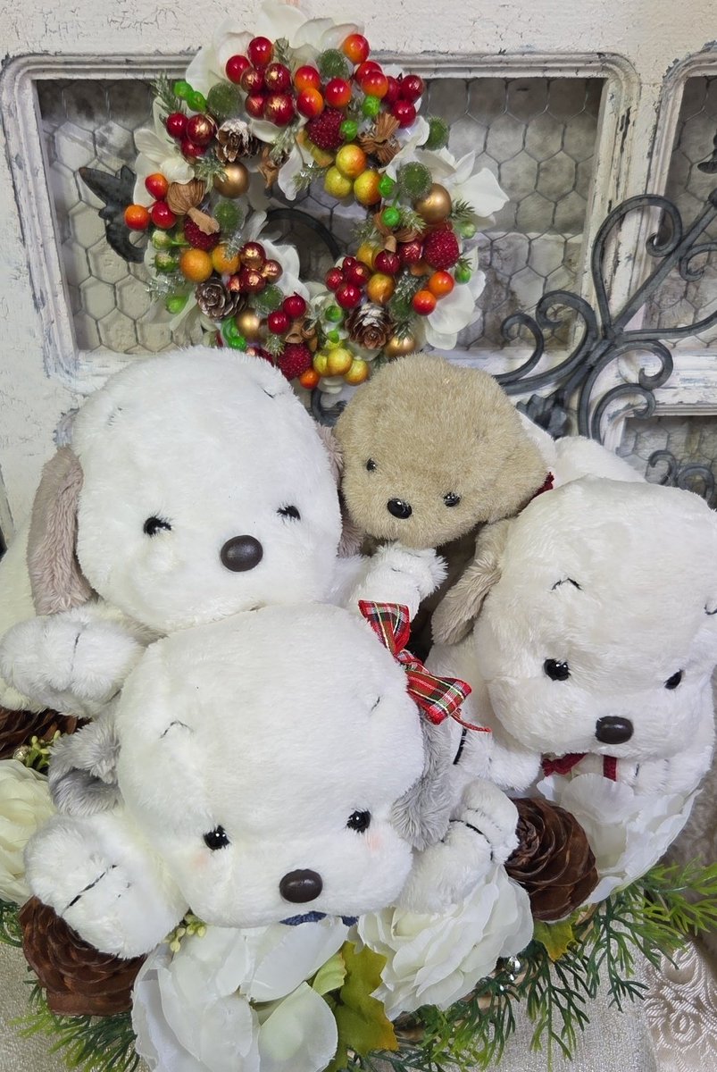 うめ吉 くたくたなうめ吉たちに癒されてね❤