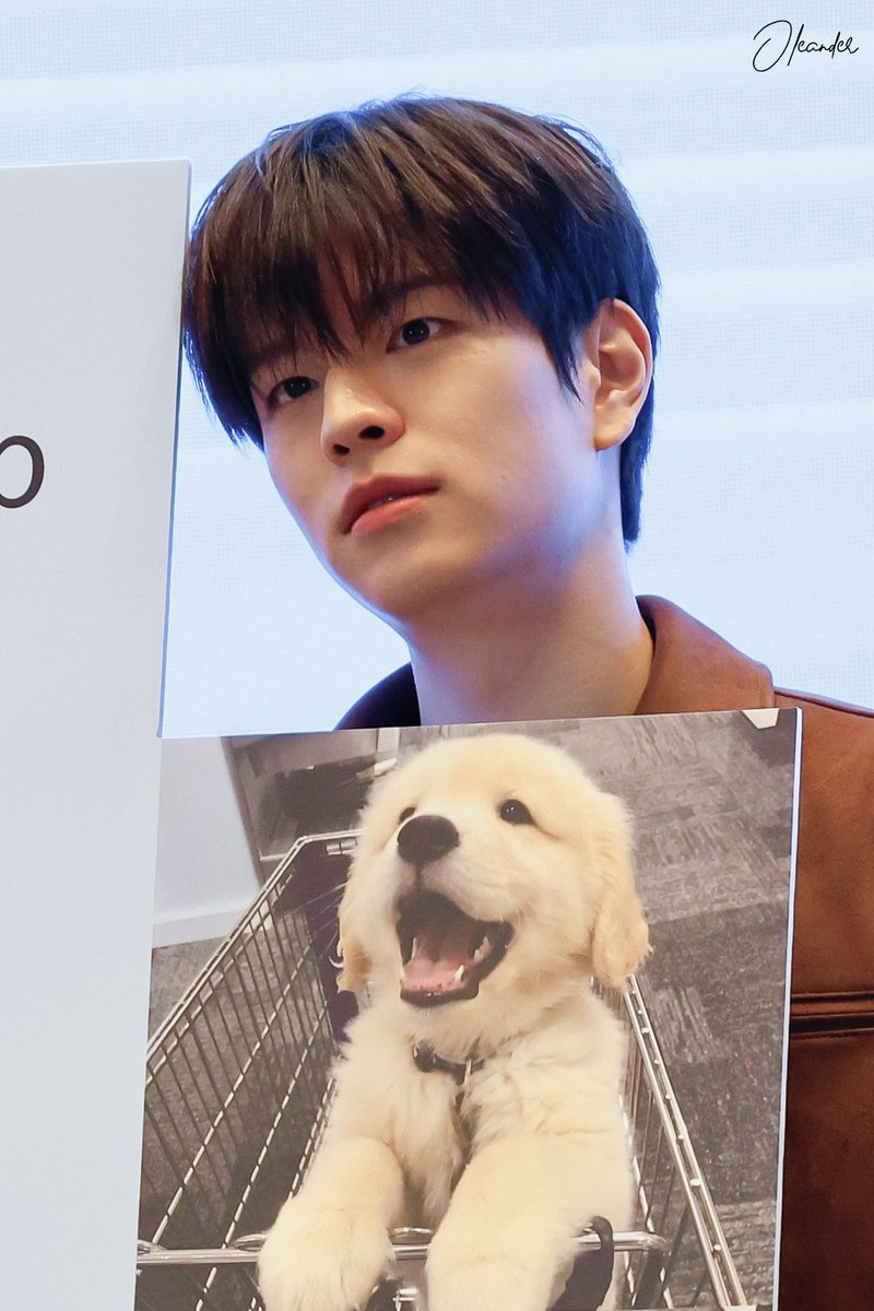 251102 팬싸 HQ
#스트레이키즈 #스키즈 #승민 #StrayKids #Seungmin #skz 
#スキズ #スンミン