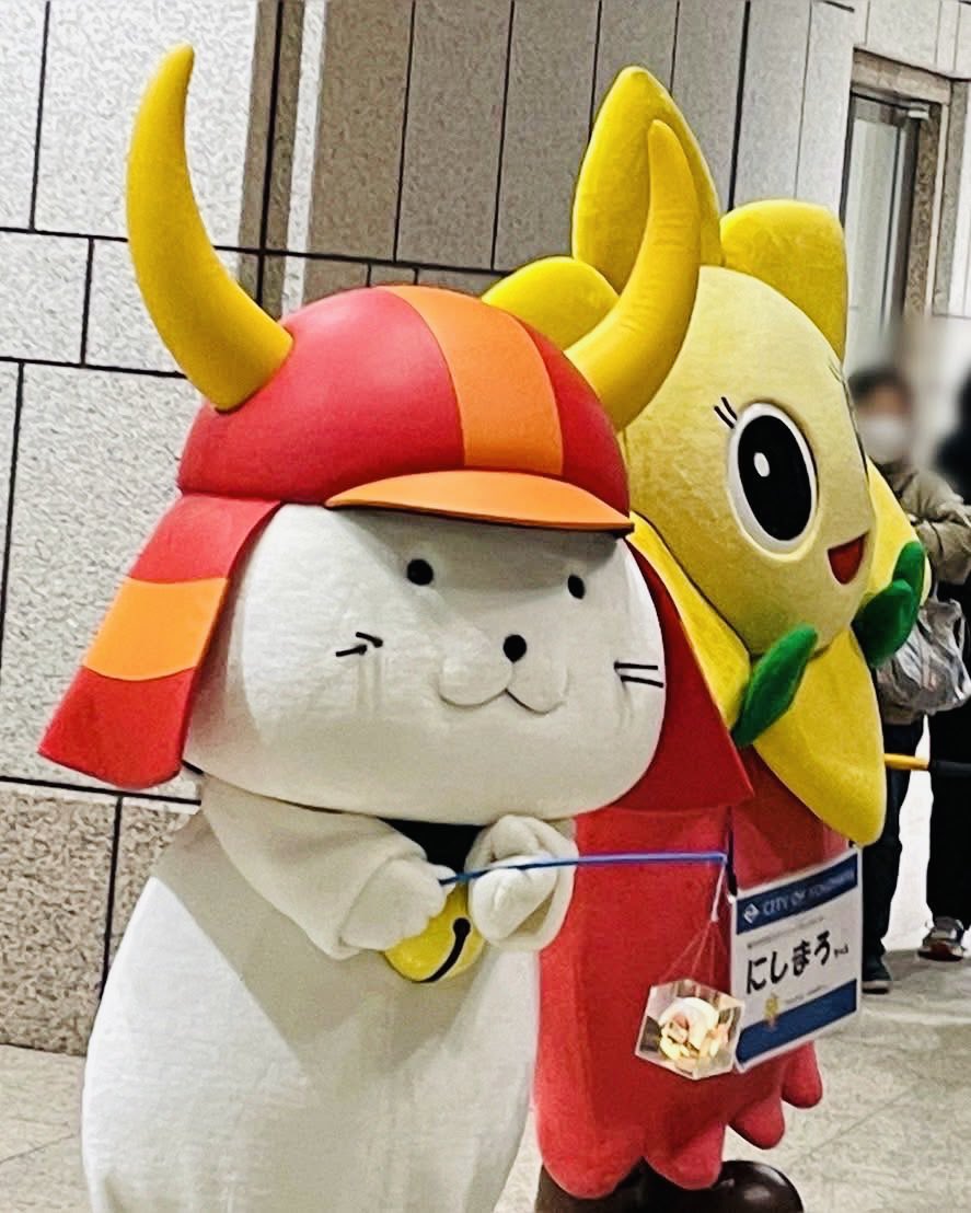 昨日、ひこにゃんは「横浜市西区キャンドルアート2025」に出陣しました