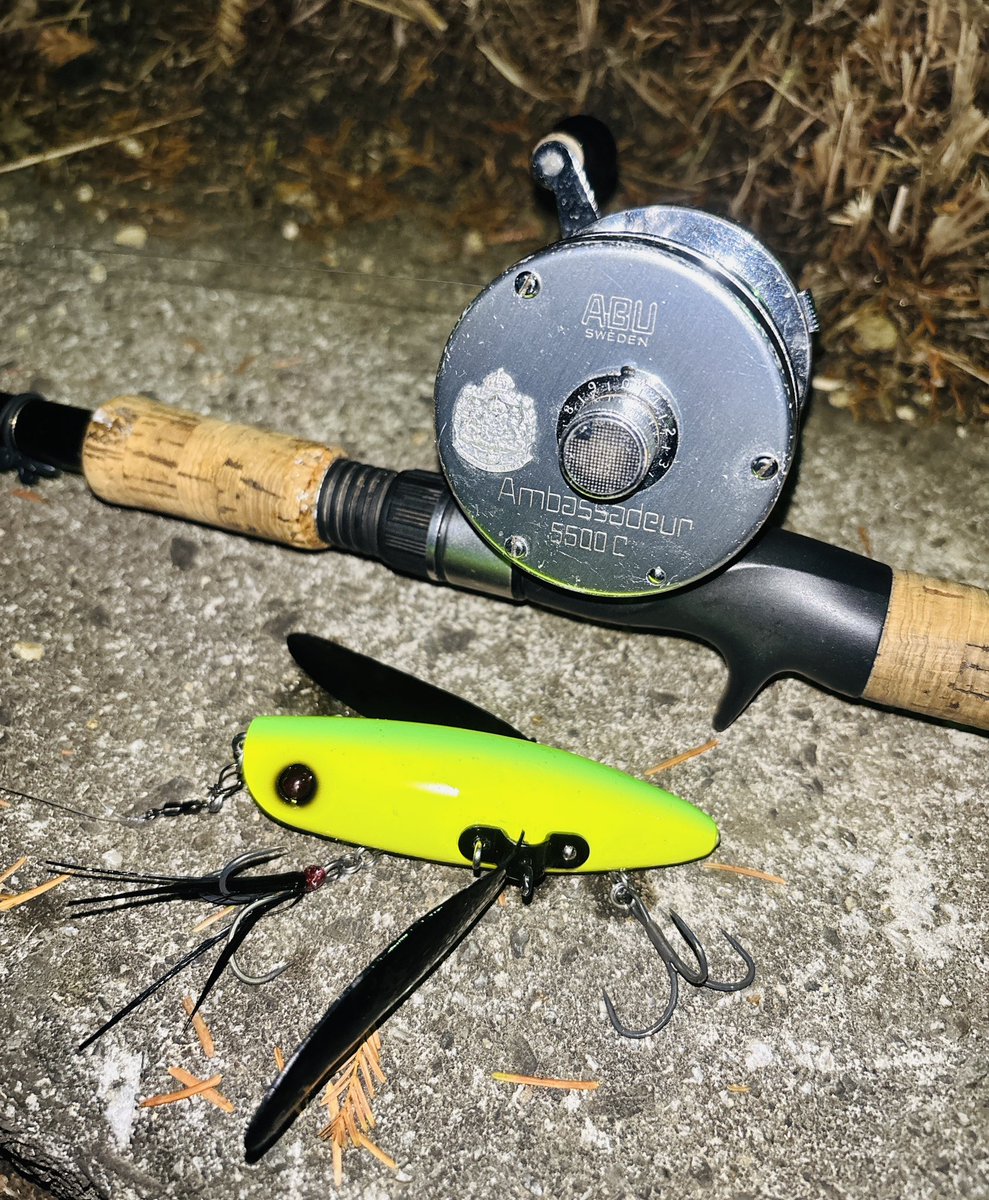 山採り　アブラチャン 山ちゃん (@XkHQtZK8kx3fhWt) / Posts / X