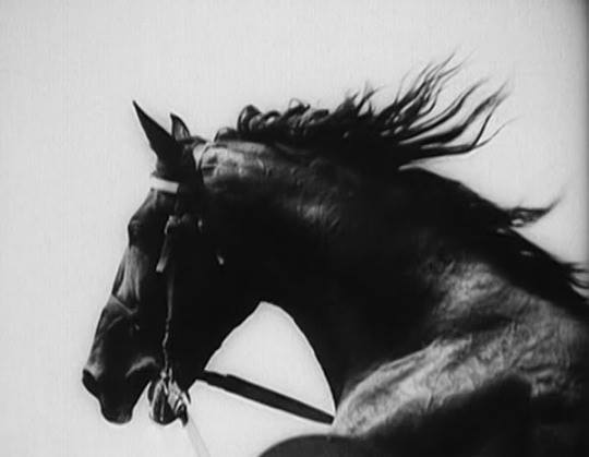 argorkey's tweet photo. film still from - ekstase 1933 https://t.co/zNYSkRPpqd