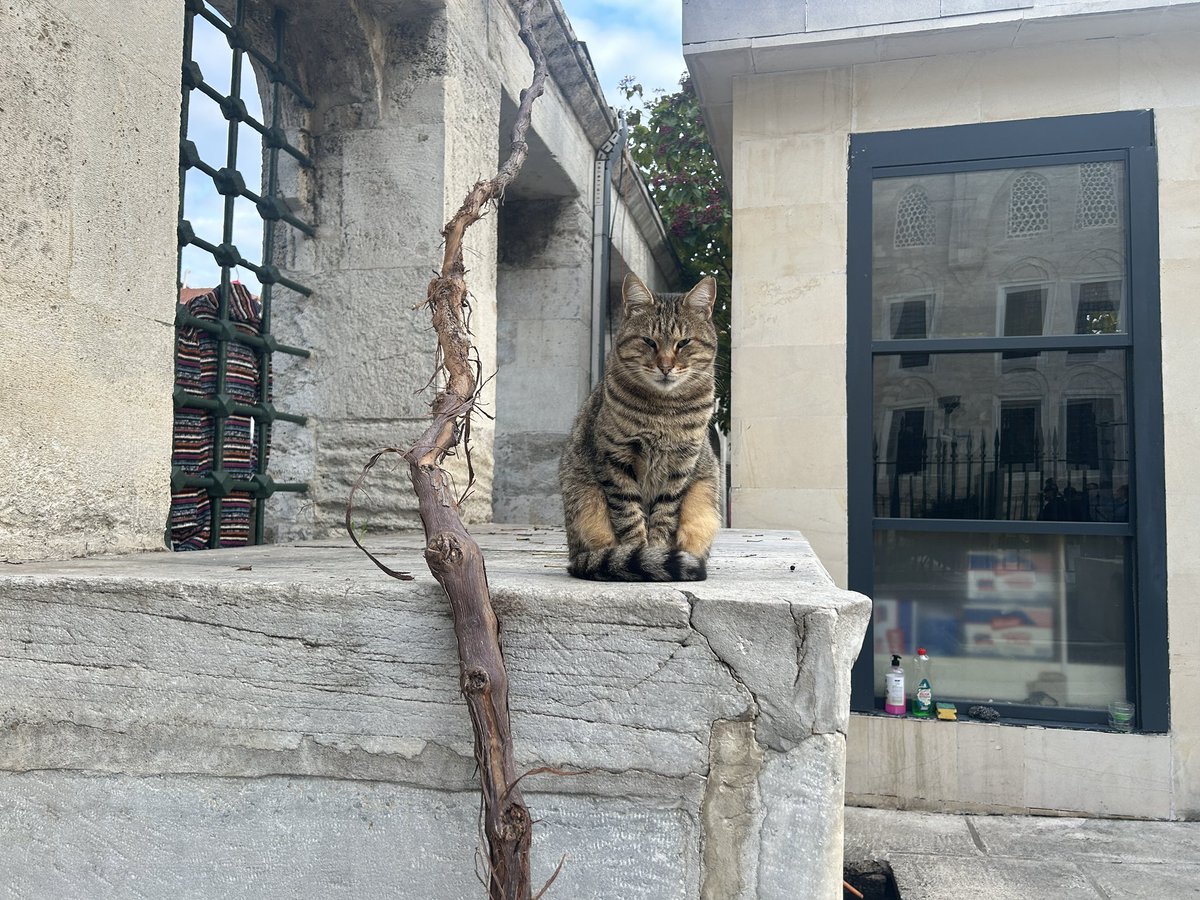 BIRGULCE's tweet photo. Aşık Veysel’e sormuşlar ; 
“Üstad, dünyadan ne anladın? “
“Say ki bir pazar yeri dolaştım, üç metre bez aldım gidiyorum… https://t.co/Q5HHW2V9z2