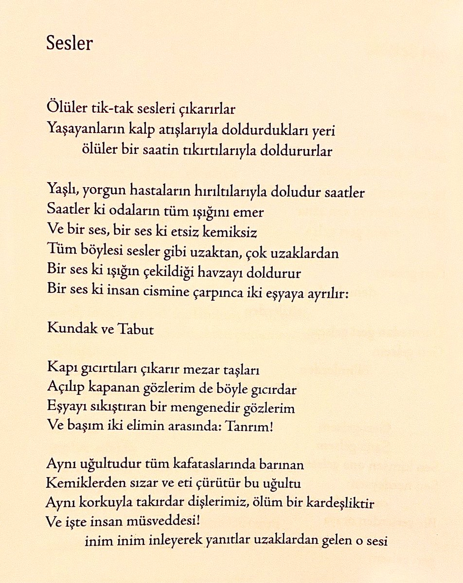 sedat anar tweet media
