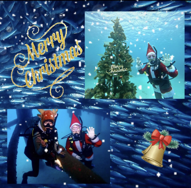 5oceanadventure's tweet photo. 12月も元気に潜ってますー！☺️ ゴリラチョップビーチにクリスマスツリーが設置されました❣️生き物も盛り沢山でミジュンもまだいるー🙄✨クリスマスダイブやってます、皆様リクエストお待ちしています〜

オーシャンアドベンチャー
〒904-0401沖縄県国頭郡恩納村名嘉真90-2
050-3172-3172

#沖縄 https://t.co/yibS0t36mU