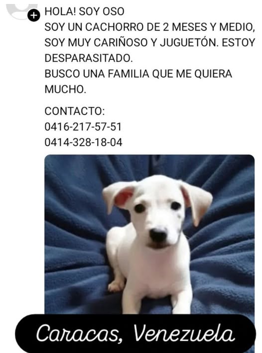 ADOPCION