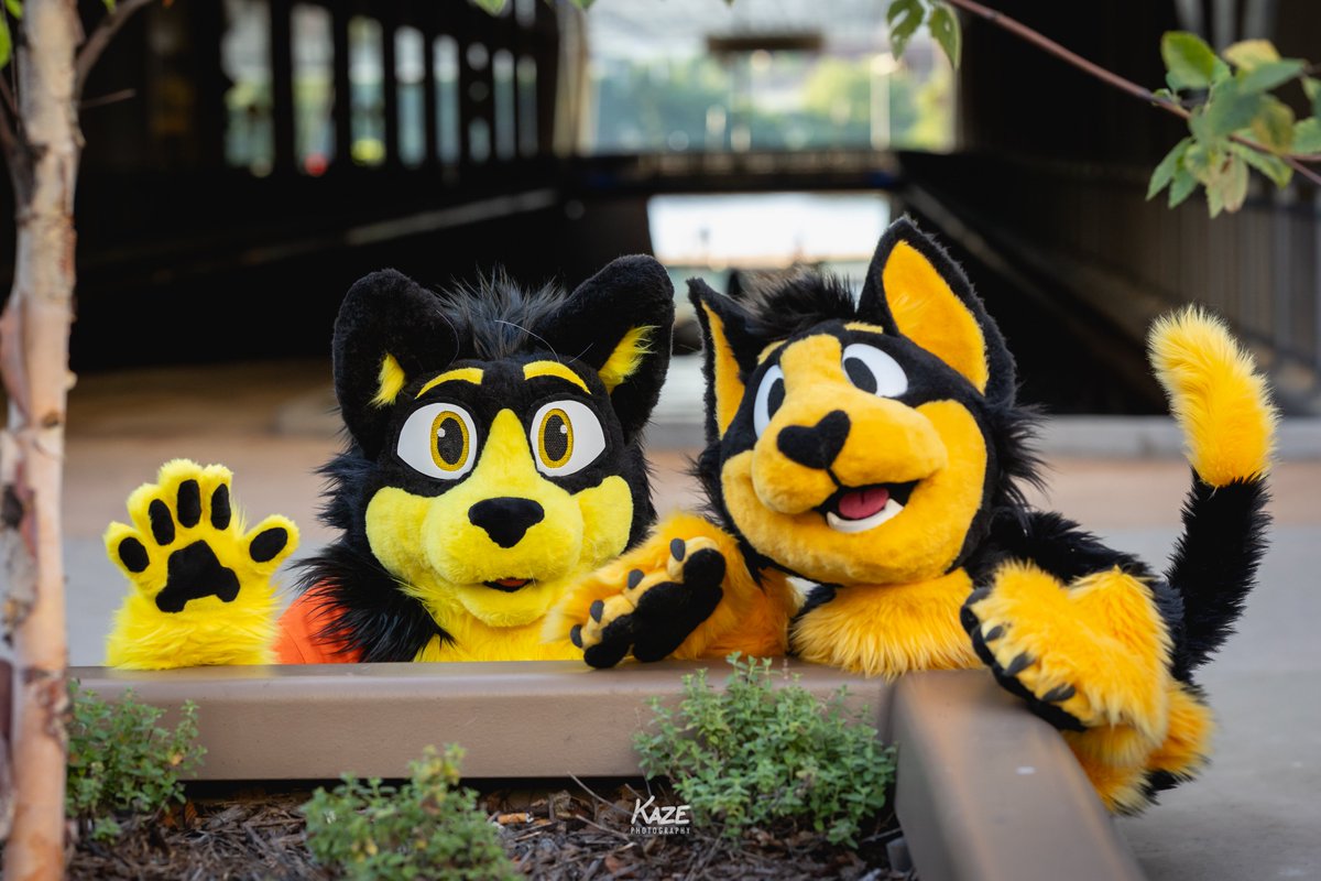 Anthrocon, Inc. tweet media