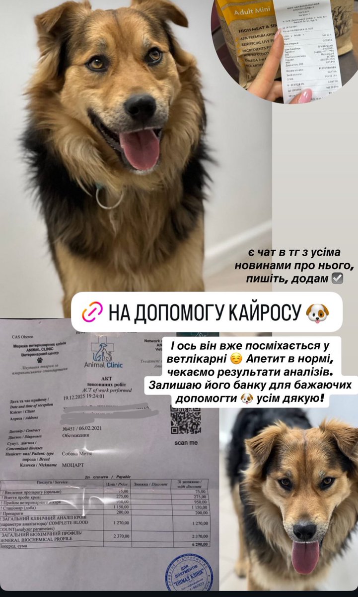 бачила вчора бідосика особисто(( 
якщо раптом хтось захоче якийсь символічний гривник кинуть на допомогу песику, ось банка:
send.monobank.ua/jar/4rFv45dLEc
більше інфи в інсті пані, яка допомагала малому: kris.vart