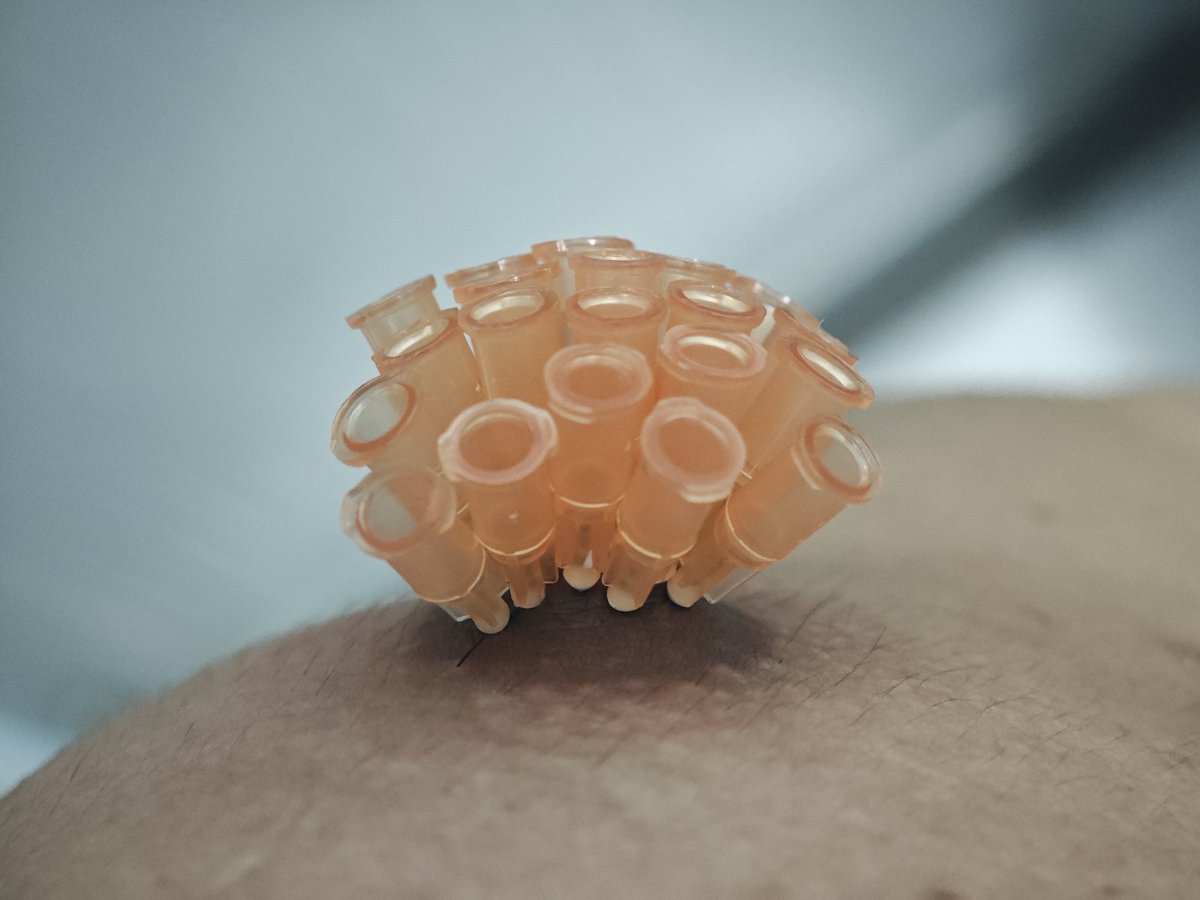 Slave Bound VL tweet media