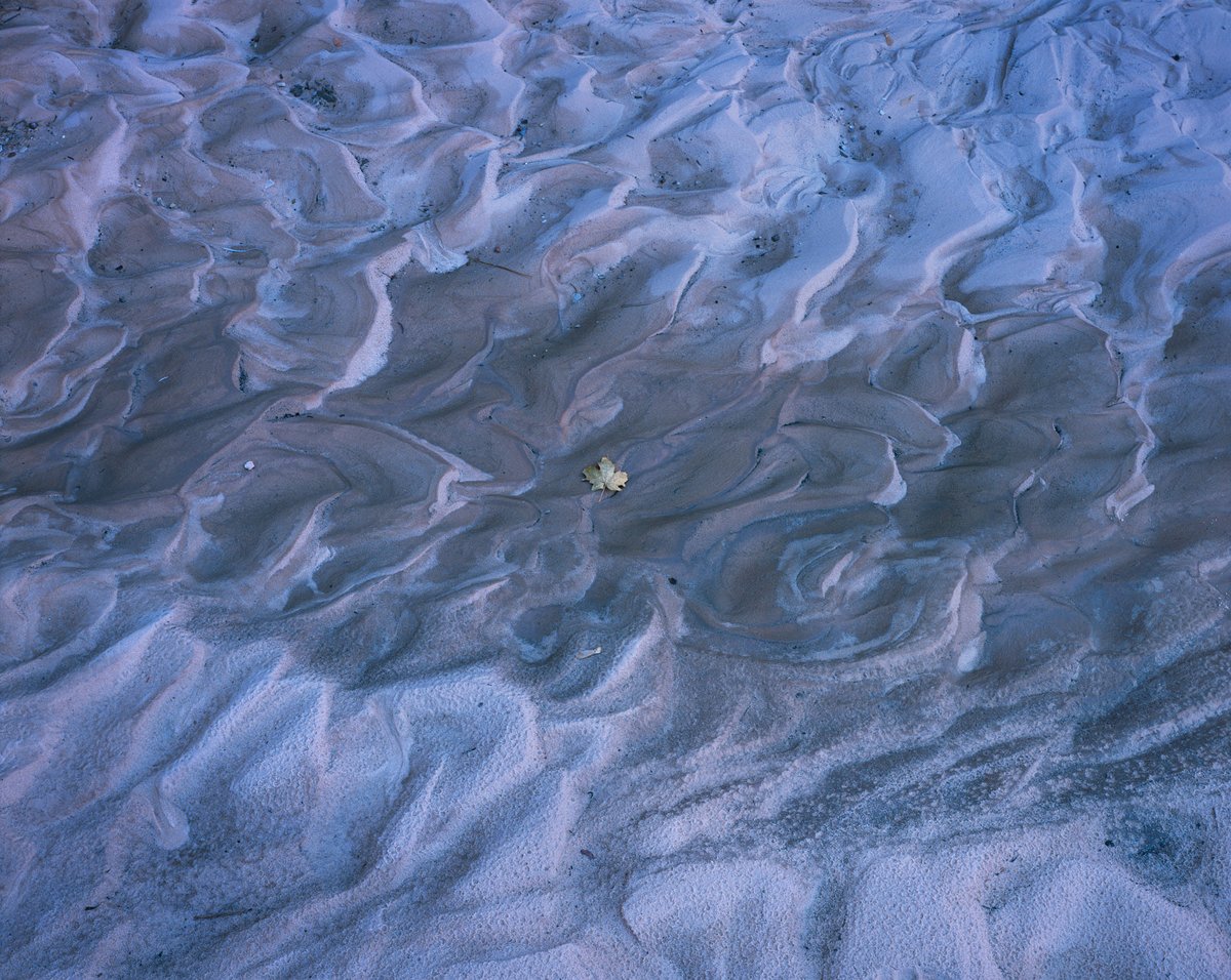 Ben Horne tweet media