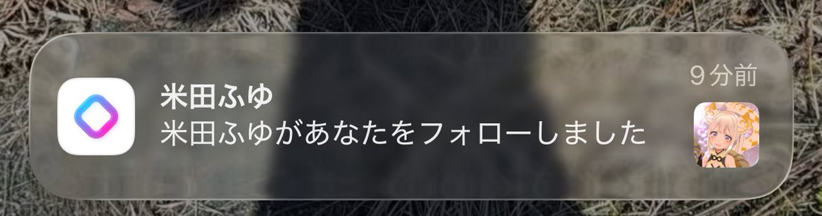 茶々 tweet media