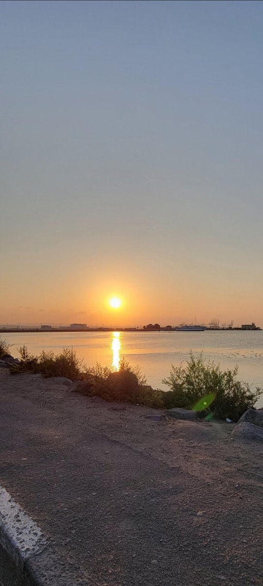 Tarwa A. Galissi tweet media