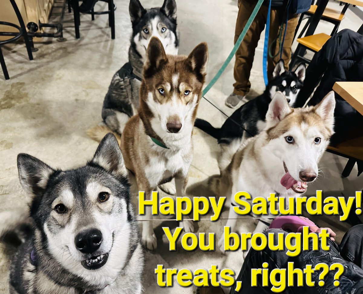 bathaleworks's tweet image. Looks like some of the BAW Pack are a little hungry. 😉 As always, BAW is dog &amp;amp; family friendly, so bring your own pack in for a little pre-Christmas relaxation. Plenty of merch &amp;amp; gift cards for those of you who are ready to start your Christmas shopping! Open 2-8 pm. Cheers! 🍻