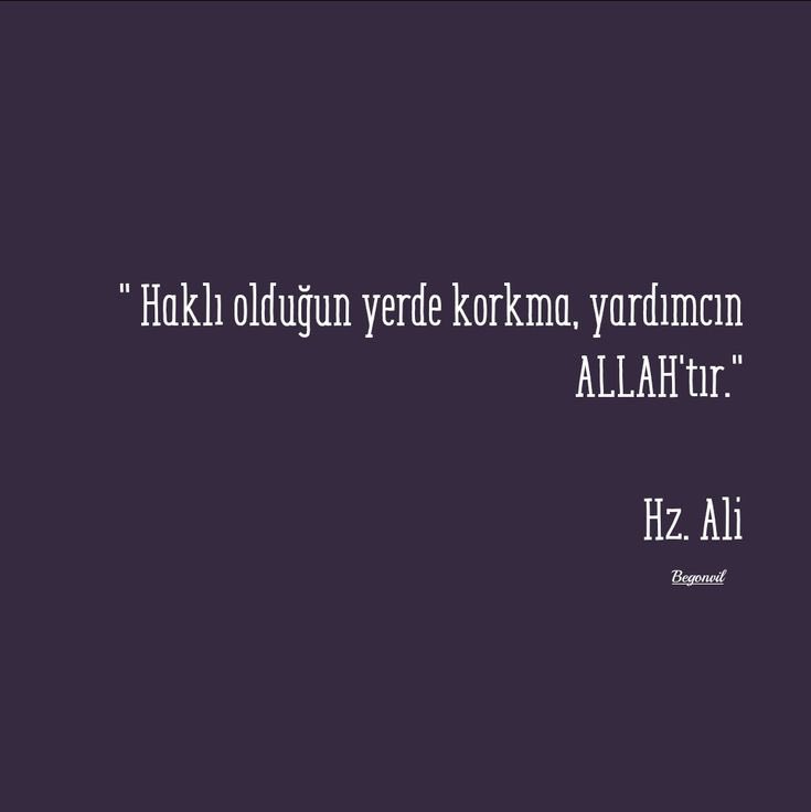 Binbir emekle uğraşalım mücadele edelim.

Aşımından doğumuna 
Doğumundan büyümesine 
Büyümesinden koşmasına
3-4 yılımızı verelim bekleyelim sabredelim
Hayaller kuralım.

Siz bir gecede oturun 215 yarışımızı çalın yazık günah.

Allahın adaleti şaşmaz.