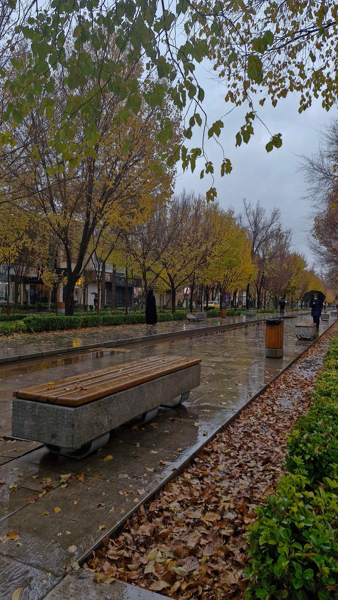s_v2007's tweet photo. بارون چارباغ :)🌧🍃 https://t.co/2dq6AnlrcD