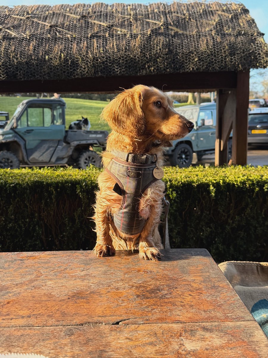 Setting an unreasonably high standard for future Saturday mornings 🥰