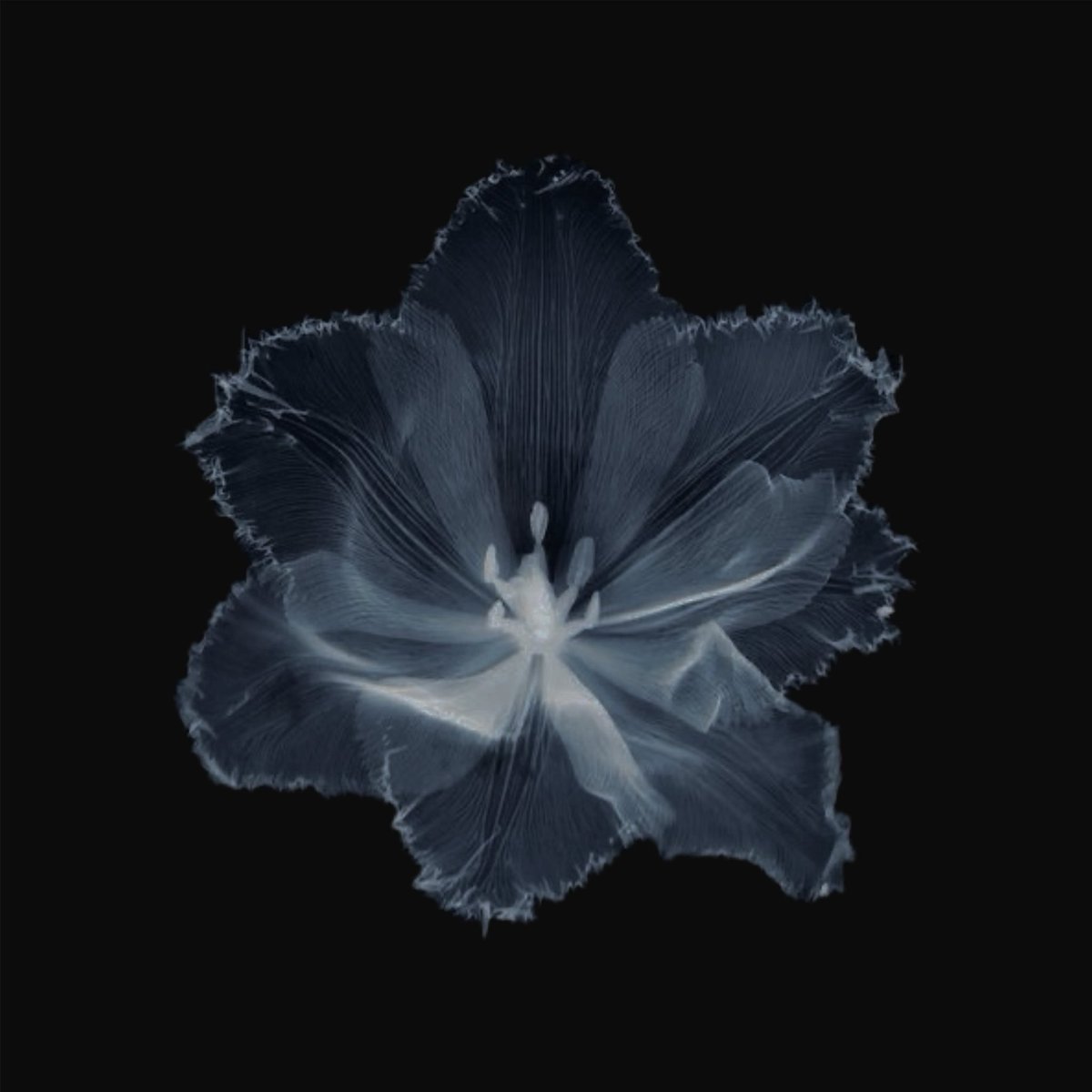 MDNIGHTS0UL's tweet image. we're  just  two  wrong  souls  that  met  at  the  wrong  time.  so——just  go  your  way,  and  I'll  go  mine.  You'll  be  alone  with  someone  new  until  the  day  that  you  die.  and  I'll  watch  from  afar  to  make  sure  you're  alright.